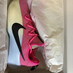 Nike LeBron Pinksickle Tr