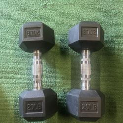 20lbs Dumbbells 