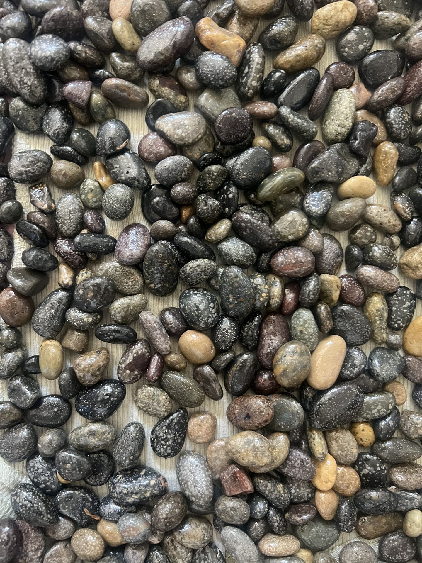 Decorative Pebble Rocks Different Shapes and Sizes from Mexico's Finest Beaches, 100% Organic Non Toxic Decorate Your Home, Garden, Office