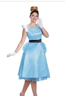 Cinderella plus size costume
