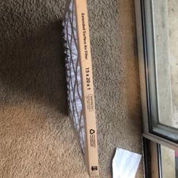 Extended Surface Air Filter 