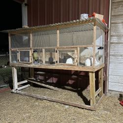 Huge Rabbit Hutch 