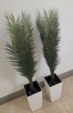 PAIR of 50in Faux Areca Palms in 16in White Planters (2 for $90) @ Lasting Creations