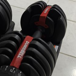 dumbbell Set 52.5 Lbs max 