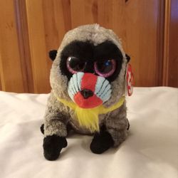 Wasabi the Baboon