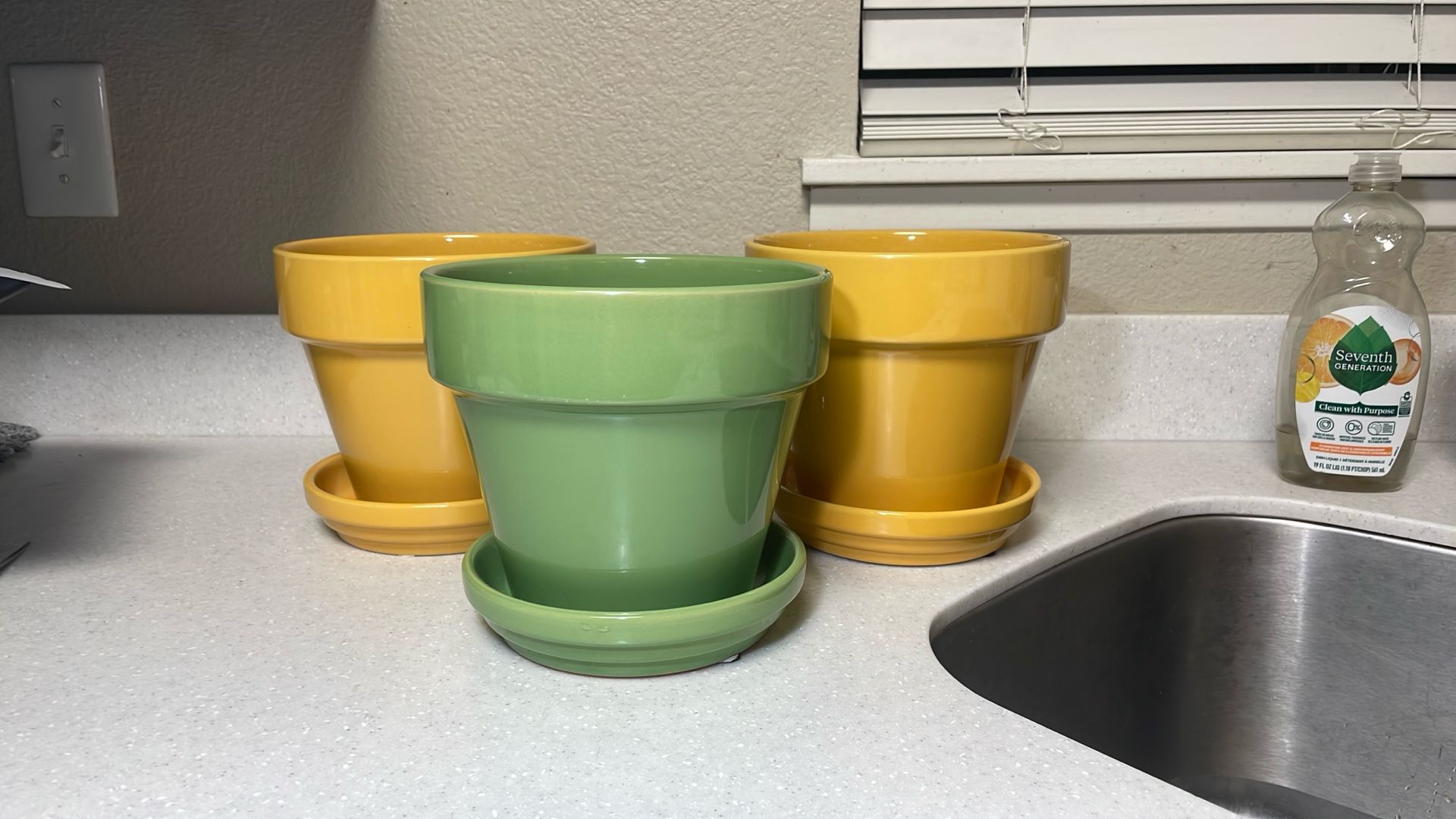Garden- $20 Bundle, $8 Ea.