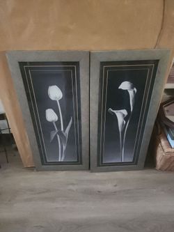 Framed Art 30inches  x 14 inches
