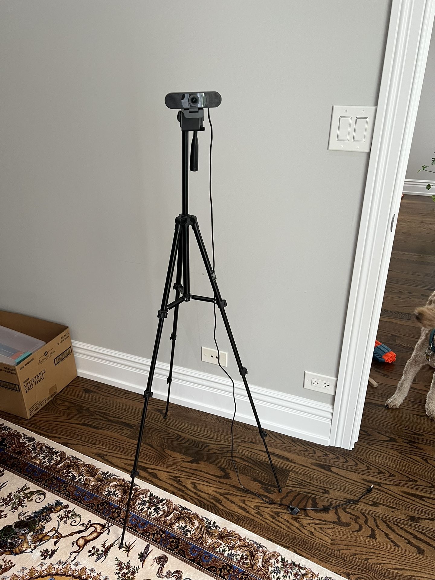 Camera & Stand & Mic 🎤