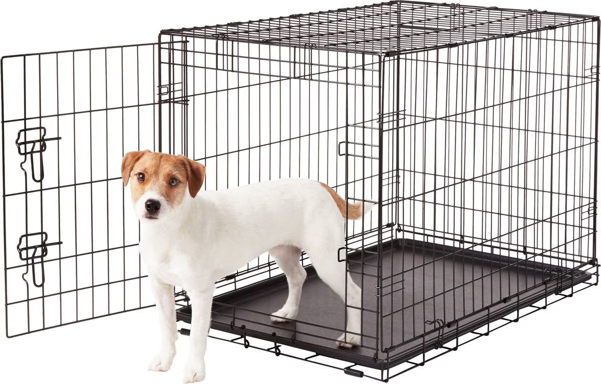 Frisco Fold & Carry Single Door Collapsible Wire Dog Crate, Med/Large