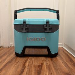Igloo 25qt Cooler