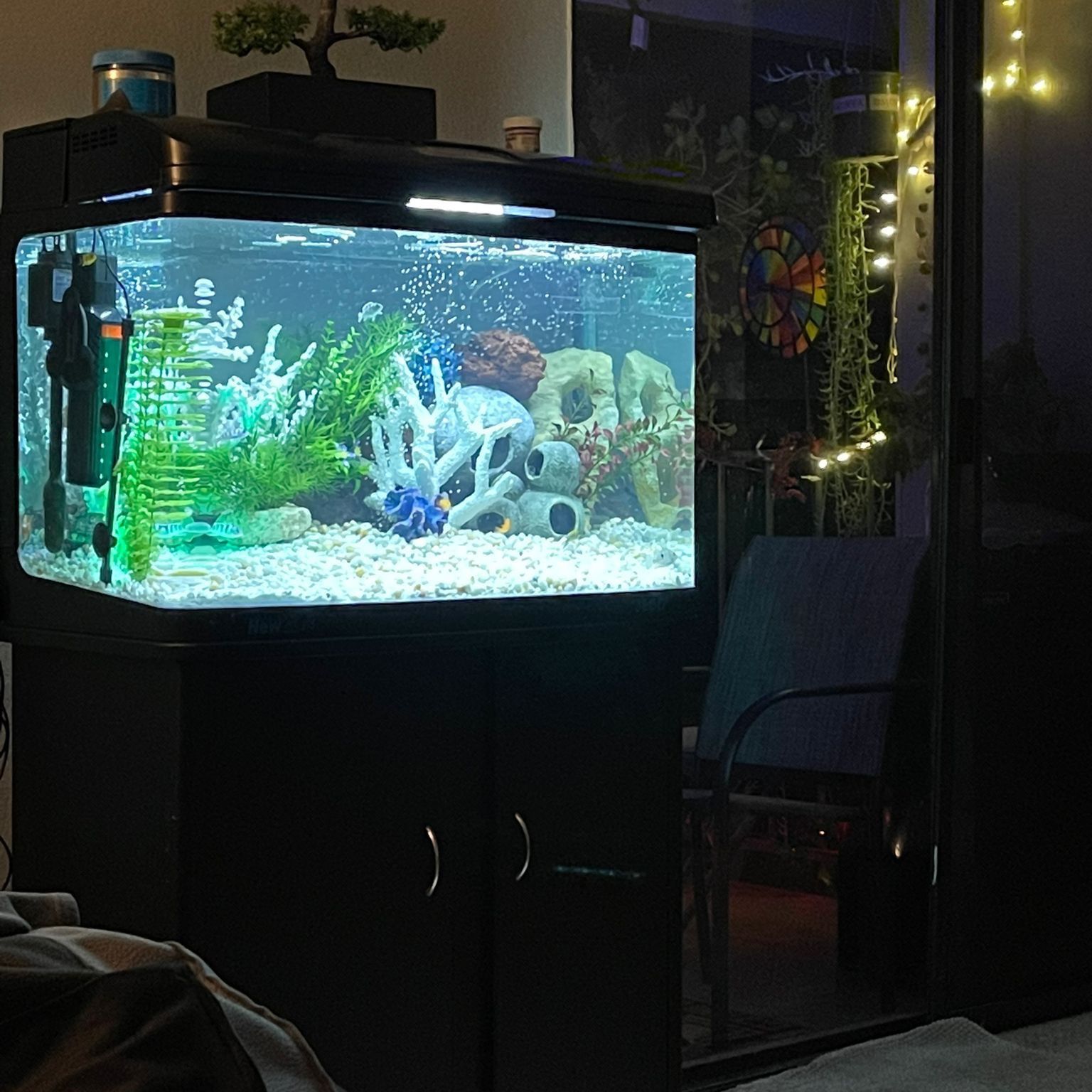 Fish Tank 65 Gallonnull