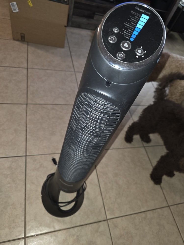 Fan