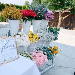 Flower Bar With Picture Frame 