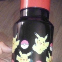 Pokemon Aluminum Water Bottle