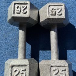 25 Pound Dumbbells 