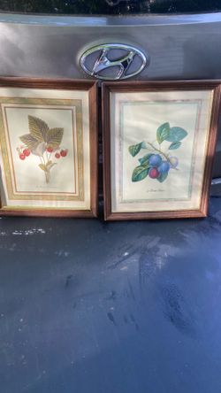 Pictures of fruit