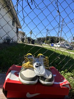 Nike dunk