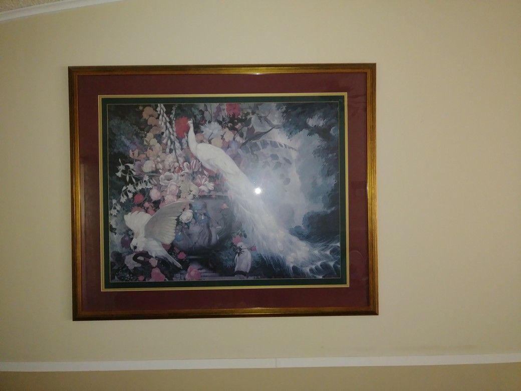 Peakock wall picture frame