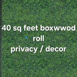 New 40 Sq Feet Boxwood Roll Outdoor Decor Privacy Fencing 