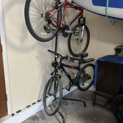 Bike tree