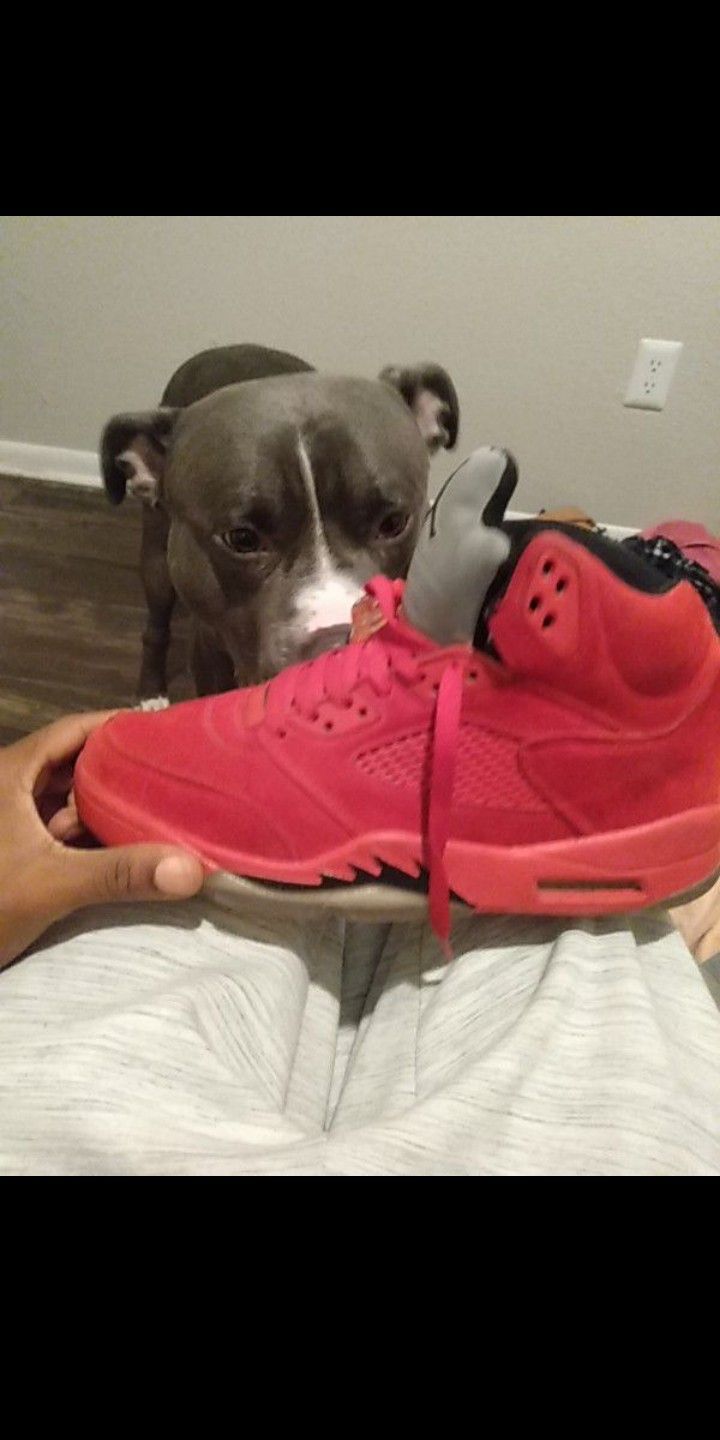 Jordan 5's