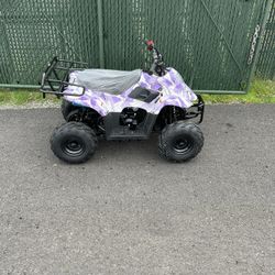 Brand New Mini Wasp 110cc Atv With Parental Controls 