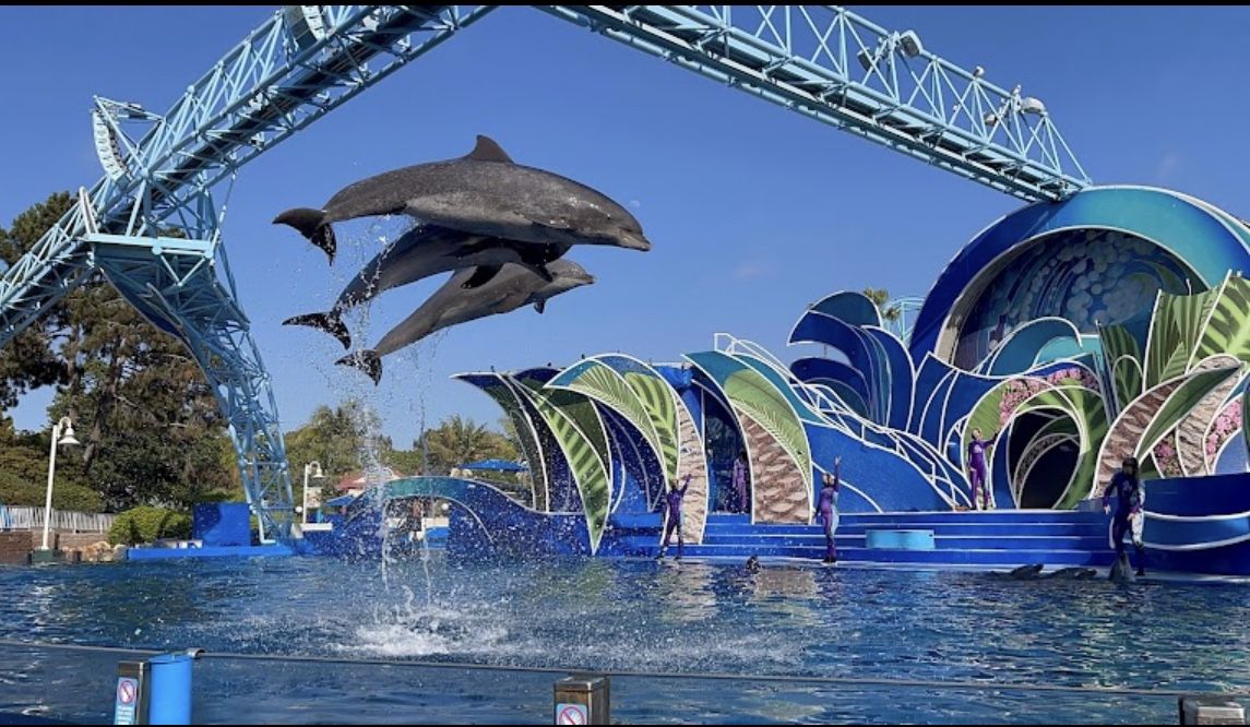Sea World 