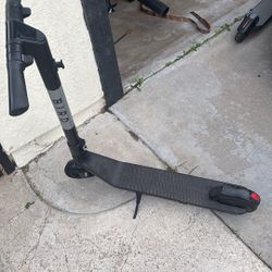 Electric Bird Scooter 