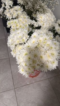 Fresh flowers