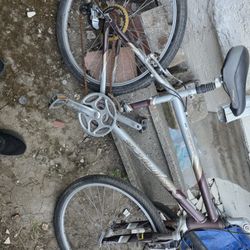 Schwinn Bike 