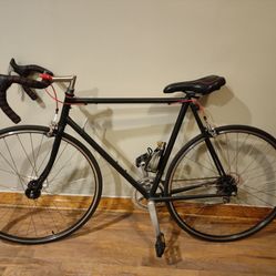 Custom Paint Road Bike 