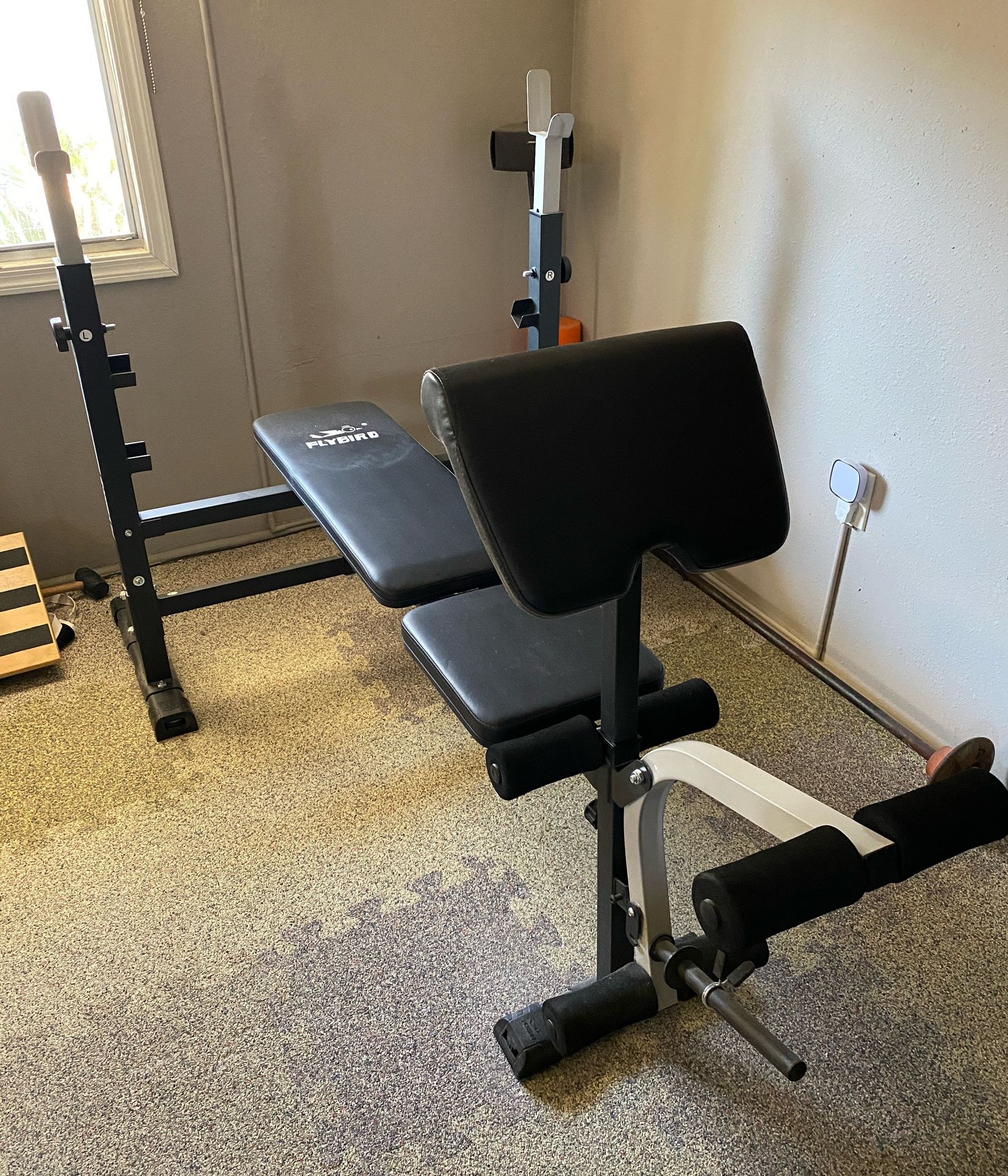 Flybird Weight Bench NEW FULLY ASSEMBLED