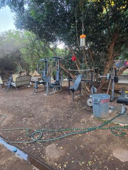 Free work out equipment