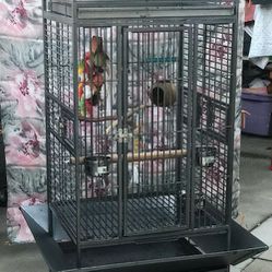 Big Beatiful Bird Cage 