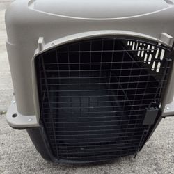 Dog, Pet, Animal Kennel