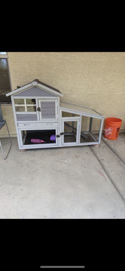 Bunny House