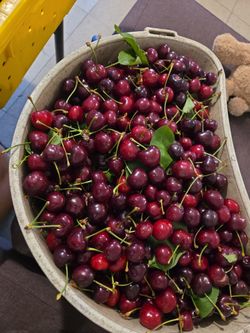 Cherrys