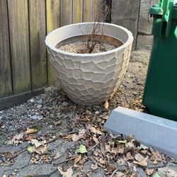 Large plastic / bamboo plant pot with gravel