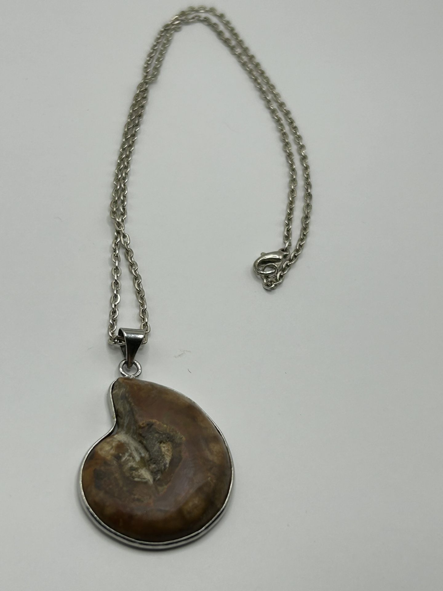 Sterling Silver Ammonite Shell Necklace 18” Long
