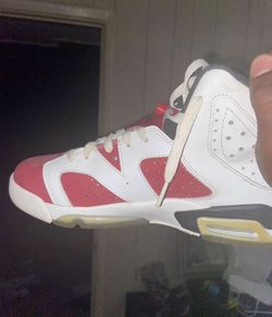 Nike Jordan 6 Retro Carmine 2014 GS (384665-160)