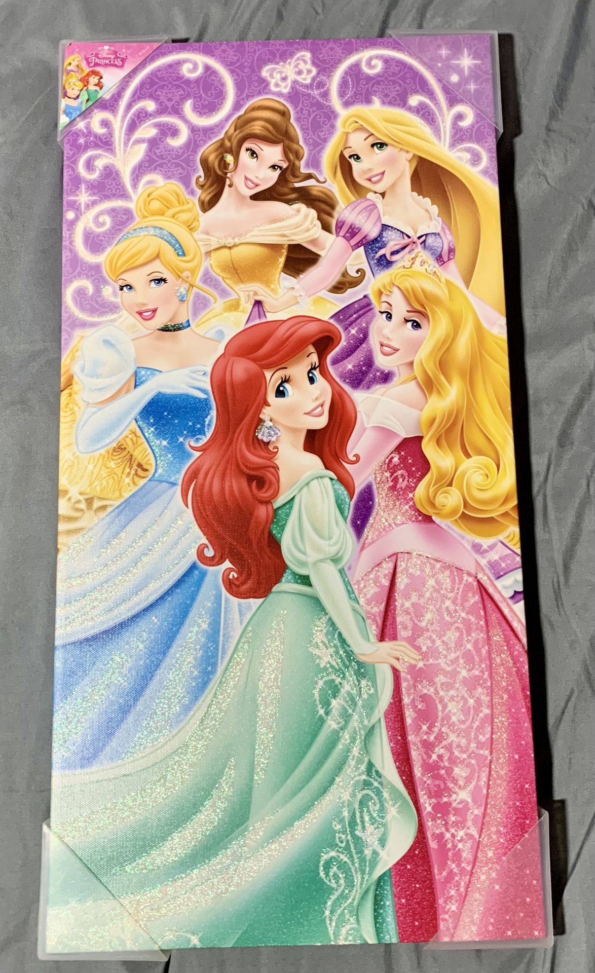 Disney Princess Picture