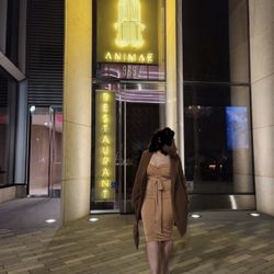 Jluxabel Midi Wrap Dress 