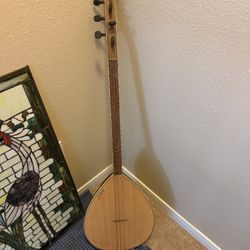 7 String Instrument