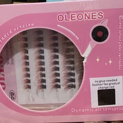 False Eyelashes