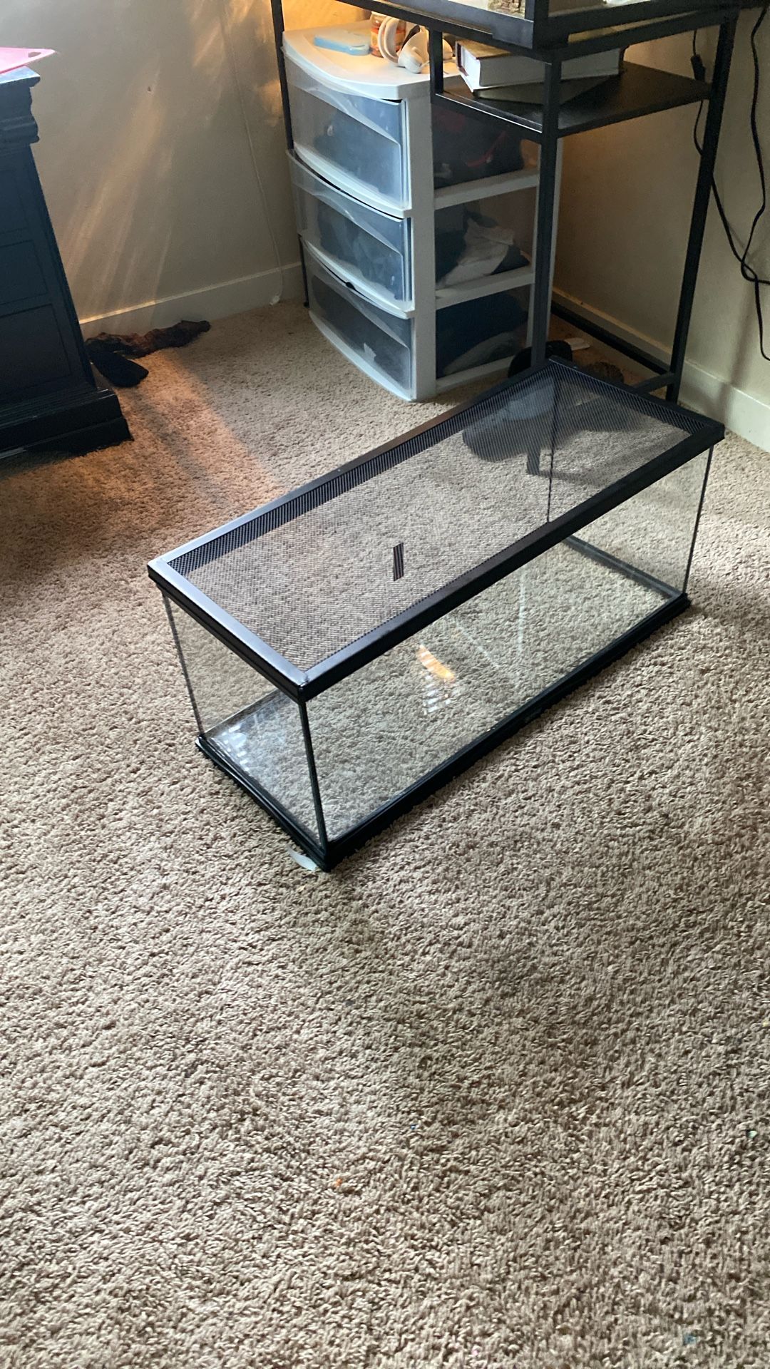 Lizard or reptile cage