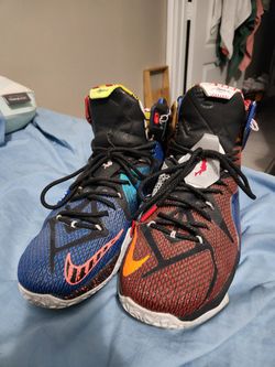 LeBron 12 "What The"