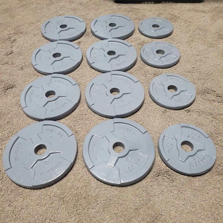 Bumper Weights Dumbbells