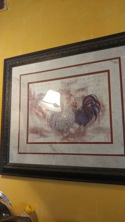 Rooster pictures