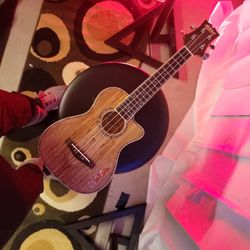 electric ukelele!