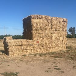 Hay/oats/feed